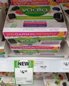 Vaalia 600g Yoghurt Probiotics Berry Delights